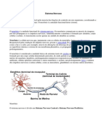 O Sistema Nervoso É Responsável Pela Maioria Das Funções de Controle em Um Organismo