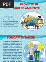 Higiene Ambiental