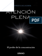 GALLAGHER, WINIFRED - Atención Plena, El Poder de La Concentración