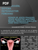 Aparato Reproductor Femenino-Expòsicion