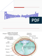 Fluorescein Angiography