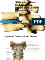 Clase Artrologia Columna