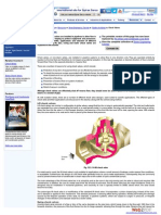 WWW Spiraxsarco Com Check Valve