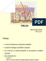 Pielea