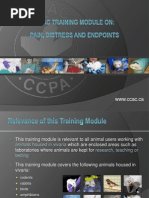 CCAC Training Module On Pain, Distress and Endpoints