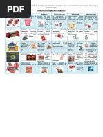 Cuadro Comparativo de Las Enfermedades