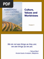 CCM Lecture Slides - Culture Values and Worldviews