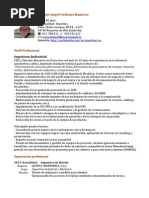 Curriculum Manuel Angel Ordoñez - Ingeniero