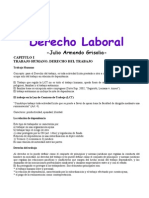 Derecho Laboral Arg Teorico