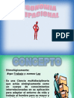 Principios de Ergonomia Ocupacional