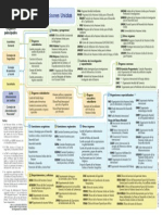 Organigrama ONU