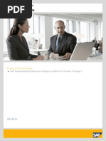 BI Launch Pad User Guide FP3