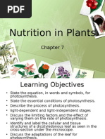 Pure Biology Chapter 7 Nutrition in Plants