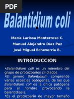 Balantidium