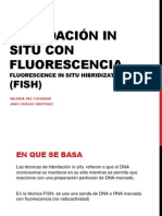 Hibridación in Situ Con Fluorescencia PDF