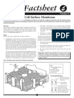 008 - The Cell Surface Membrane