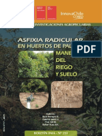 Asfixia Radicular en Huertos de Palto