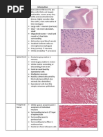 Histology Unkowns