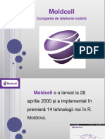 Mold Cell