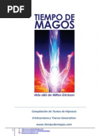 Ebook Tiempo de Magos Intensivo 2013