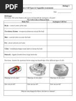 Ds47-Cell Types Organelles Summative Assessment