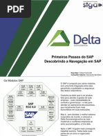 Primeiros Passos Do SAP