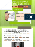 Fisiologia y Embarazo