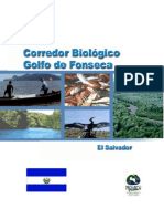 Corred or Biologic o Golfo Salvador