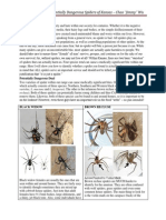 Identification of Potentially Dangerous Spiders of Kansas