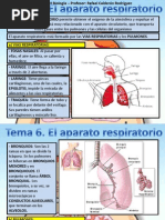 Tema 6 Aparato Respiratorio