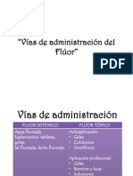 Seminario Vias Del Fluor