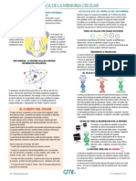 CMR Guide Spanish