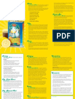 Lemon Detox Leaflet BY PREETHAM POOVADAN