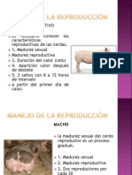 Manejo de La Reproducción