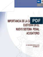 Cadena de Custodia PDF