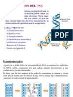 Tema 2 Replicacion