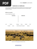 Carnivores Vs Herbivores Worksheet