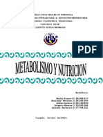 Concepto de Metabolismo y Nutricion