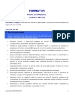 Profil Ocupational Formator