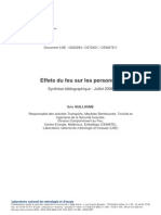 Rapport Effets Feu Personnes Eric Guillaume