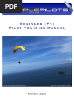 Temple: Beginner (P1) Pilot Training Manual