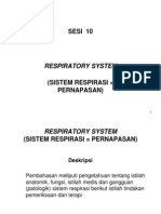 Sesi 10: Respiratory System