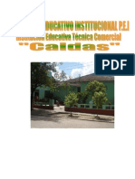 Pei Caldas-Rediseño 2009 Nco