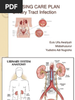 NCP Urinary Tract Infection