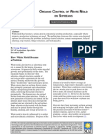 Organic Control of Whit Mold On Soybeans