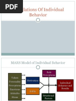 Foundations of Individual Behavior