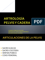 16°ARTROLOGÍA Pelvis-Cadera