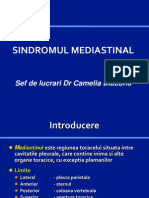 16.curs SD Mediastinal