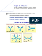 Esquema de Anticuerpos