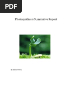 Final Photosynthesis Summative Report